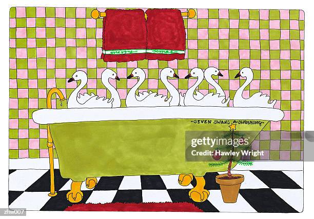 bildbanksillustrationer, clip art samt tecknat material och ikoner med seven swans a-swimming - sötvattenfågel