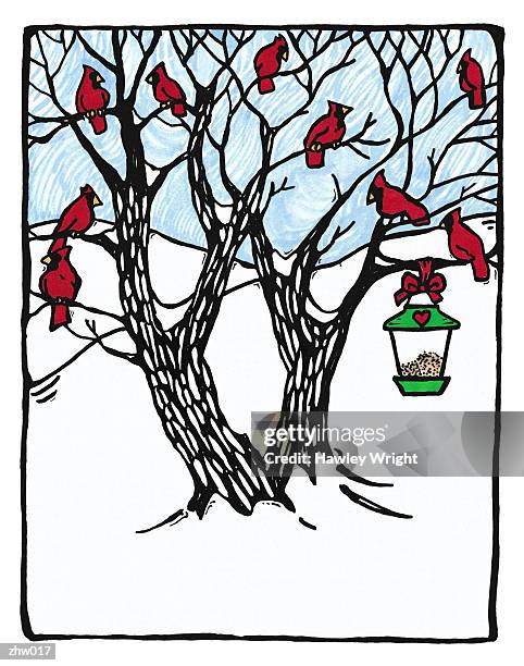 cardinals & bird feeder - vertebrate stock illustrations