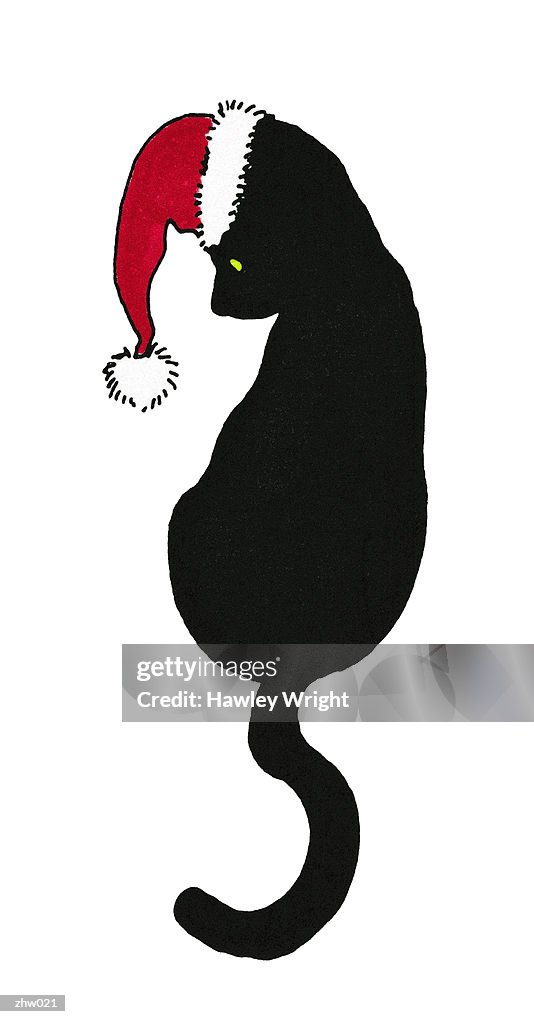 Black Cat in Santa Hat