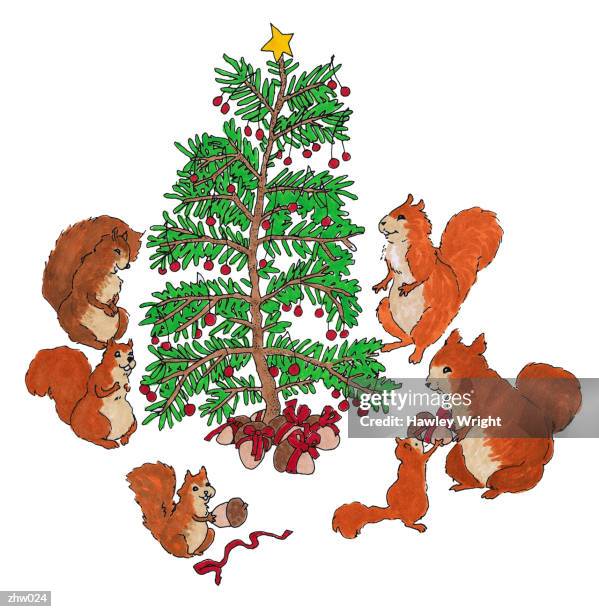 squirrel family christmas - not guilty stock-grafiken, -clipart, -cartoons und -symbole