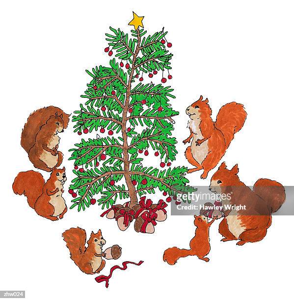 illustrazioni stock, clip art, cartoni animati e icone di tendenza di squirrel family christmas - no telefone