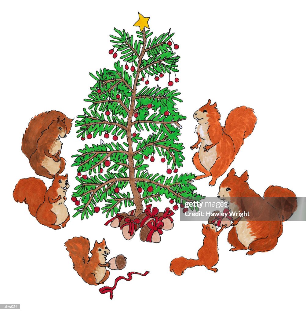 Squirrel Family Christmas