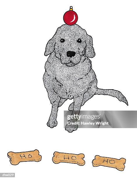 stockillustraties, clipart, cartoons en iconen met dog balancing ornament - with love from california a night of one act plays benefiting hurricane relief efforts through team rubicon