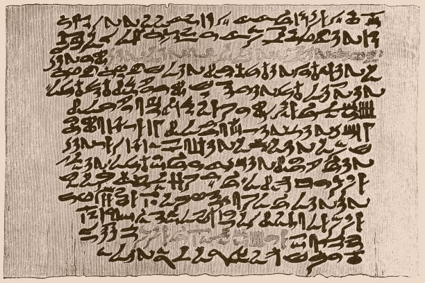 Papyrus bilder ägypten - Der Testsieger unserer Tester