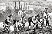 Engraving farmers harvesting potato field 1835