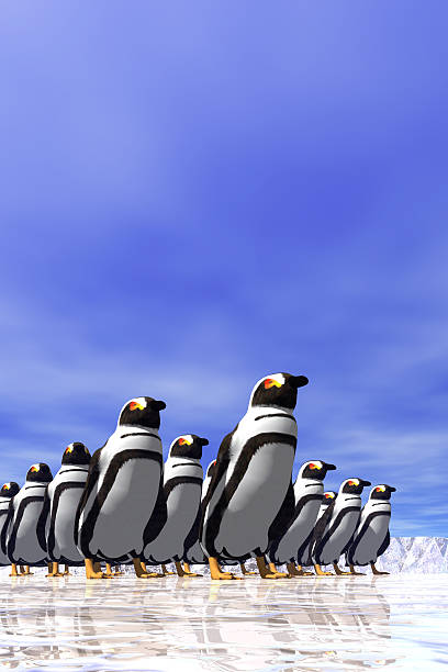 penguins march in a group against a blue sky