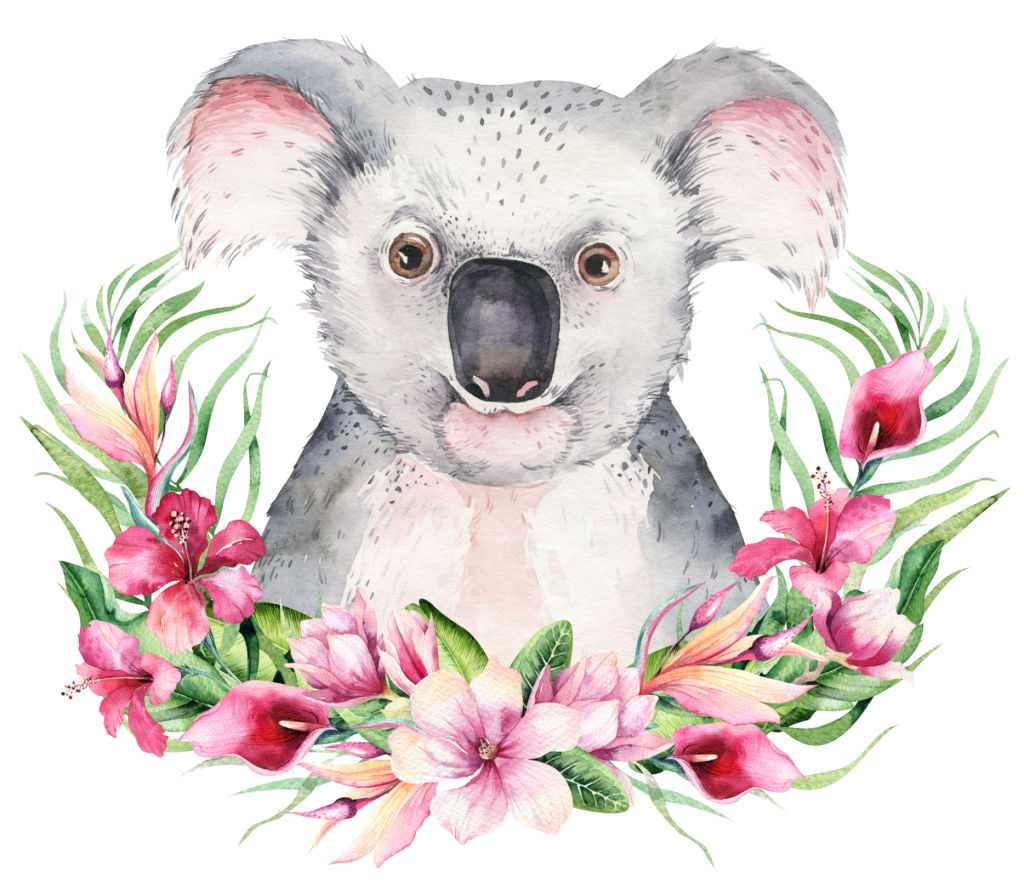 Koala and Florals