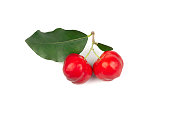 Acerola Cherry or Barbados Cherry