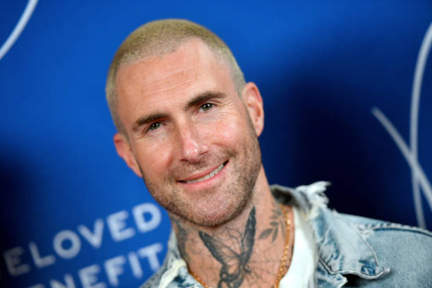 Does Adam Levine Have A Sister?