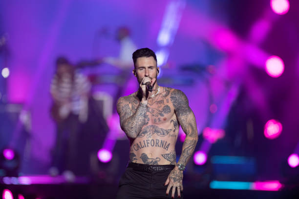 Does Adam Levine Have A Sister?