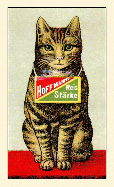 Advertisement, in German, for Hoffmann's Reis Starke , or Rice Starch, features an illustration of a cat, 1920.