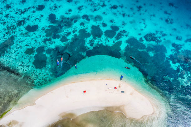 aerial view of a small sandy island zanzibar indian ocean picture