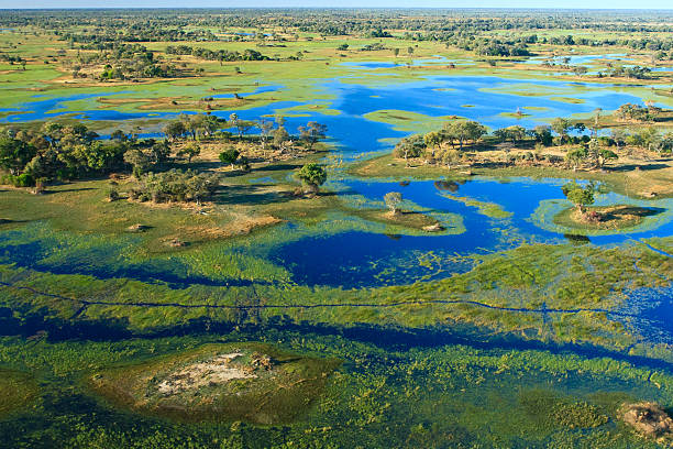 aerial view of okavango delta picture