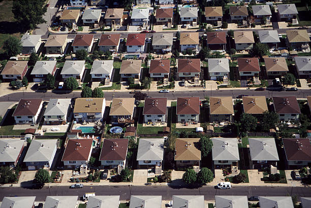 aerial view of rows of identical houses picture