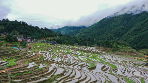 CHN: Terraced Fields In Congjiang