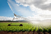 Agriculture: Crop Irrigation