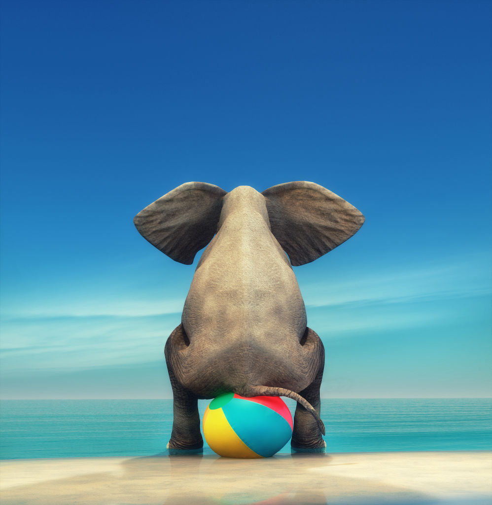 Elephant on a Beachball