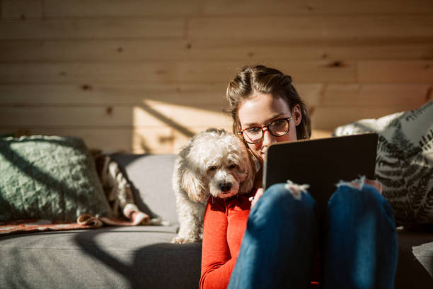 artist drawing at home in company of her poodle dog - beautiful dog stock pictures, royalty-free photos & images