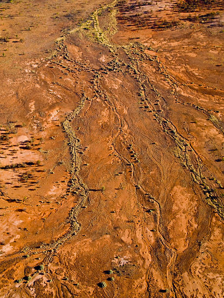 Australia, Northern Territory, Alice Springs, McDonnell Ranges, Dry river bed, aerial view