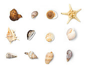 Beach Objects Series