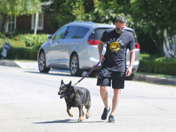 Ben Affleck wearing a face mask while walking a dog on April 25 2020 in Los Angeles California