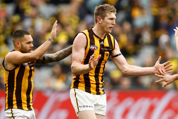 Ben McEvoy of the Hawks celebrates a goal during the round 22 AFL match between the Richmond Tigers and the Hawthorn Hawks at Melbourne Cricket...