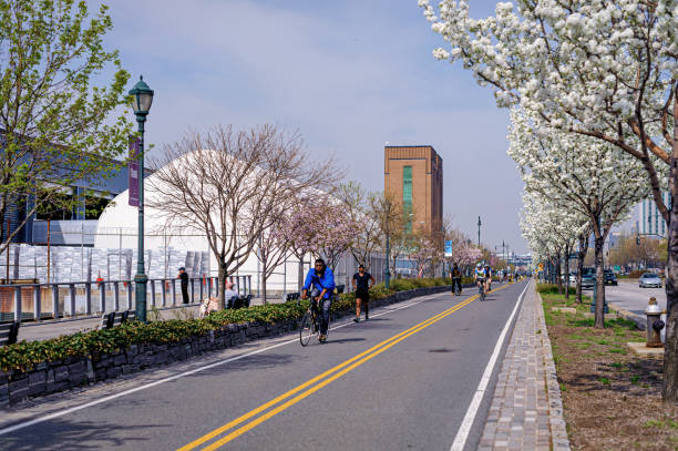 Bicyclists on the Manhattan Waterfront Greenway Bike Path in the spring in Manhattan, New York City