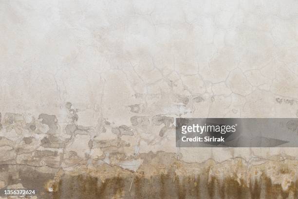 blank cement wall texture background blank