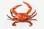 Blue crab on white background that has been cooked
