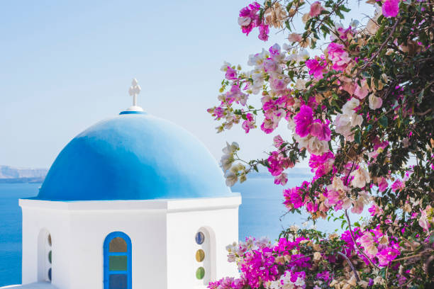 blue dome in santorini - la grece avec bougainvillier photos et images de collection