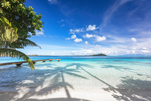 hermosa de la isla de bora bora playa embarcadero polinesia francesa - polinesia francesa fotografías e imágenes de stock