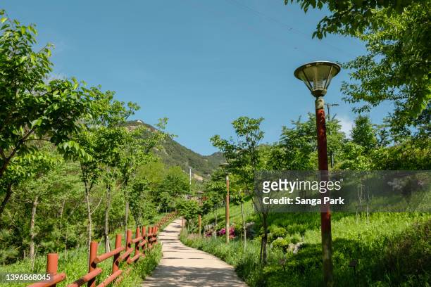 bukhansan mountain trail road at summer