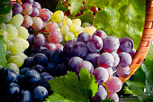 Bunch of different types of fresh grapes