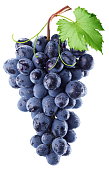 Bundle of blue grapes with a leaf against white background
