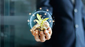 Businessman hand with coins and sprout in network connection. Plant growing on pile of coins money. Money growth concept.