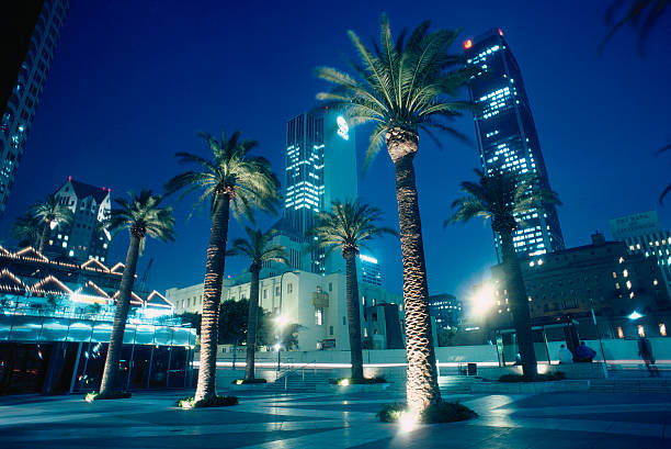 california los angeles civic center palms in square night picture ida0052 000012?k=20&m=a0052
