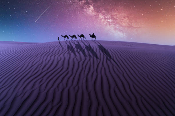 Camel caravan in the desert under starry sky
