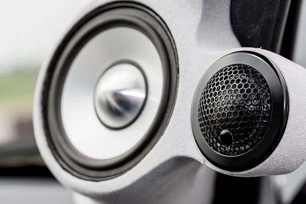 Car speaker rattle