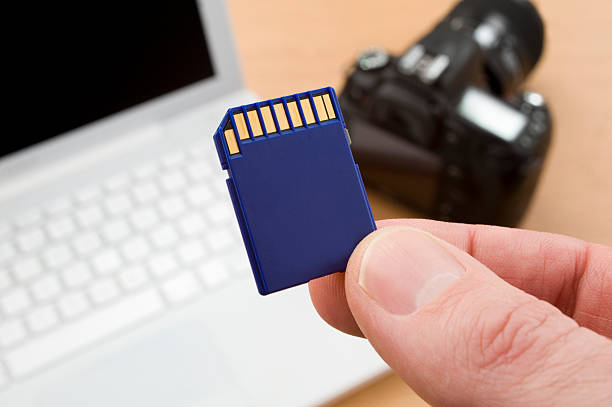 sd card - memory cards stock pictures, royalty-free photos & images