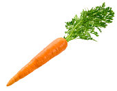 Carrot Isolated