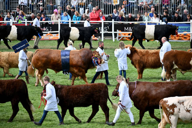 GBR: Final Day Of The Royal Highland Show As It Marks Its 200th Anniversary