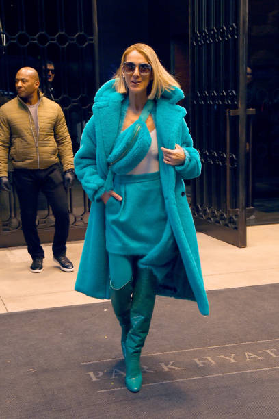 Celine Dion is seen on November 13 2019 in New York City