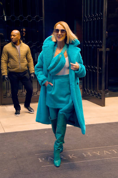 Celine Dion is seen on November 13 2019 in New York City
