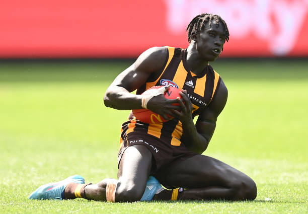 Changkuoth Jiath of the Hawks marks during the round one AFL match between the Hawthorn Hawks and the North Melbourne Kangaroos at Melbourne Cricket...