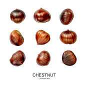 Chestnut Pattern. Creative layout of Chestnuts isolated  on white background. Top view. Flat lay