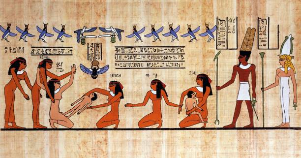 Papyrus bilder ägypten - Die ausgezeichnetesten Papyrus bilder ägypten analysiert!