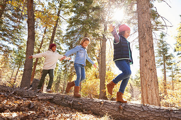 Children Having Fun And Balancing On Tree In Fall Woodland