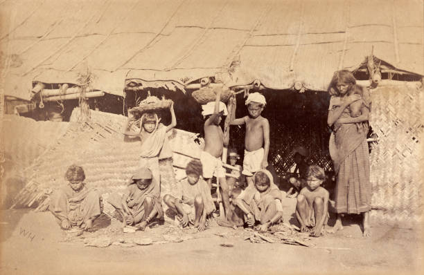 Children preparing prickly pear as food for cattle in Madras , India, 1876. Madras Famine 1876-1878.