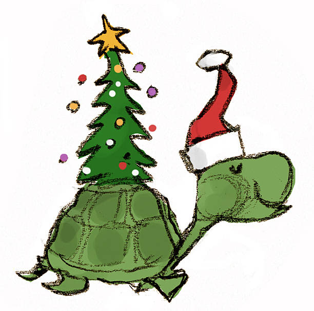 ILLUSTRATION: Christmas Turtle Pictures | Getty Images