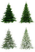 Christmas Trees COLLECTION / SET on Pure White Background (65Mpx-XXXL)